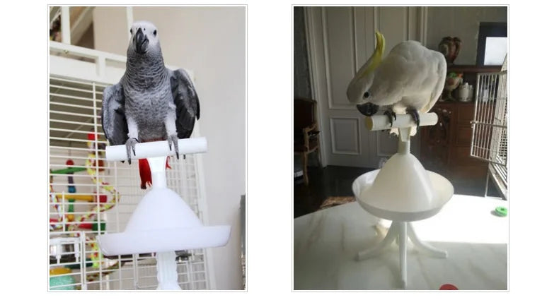 CAITEC Parrot Stand Bird Toys Portable Perch and Training Tool Light Weight Bird Stand Safe Sturdy Tool for All Sizes Parrots
