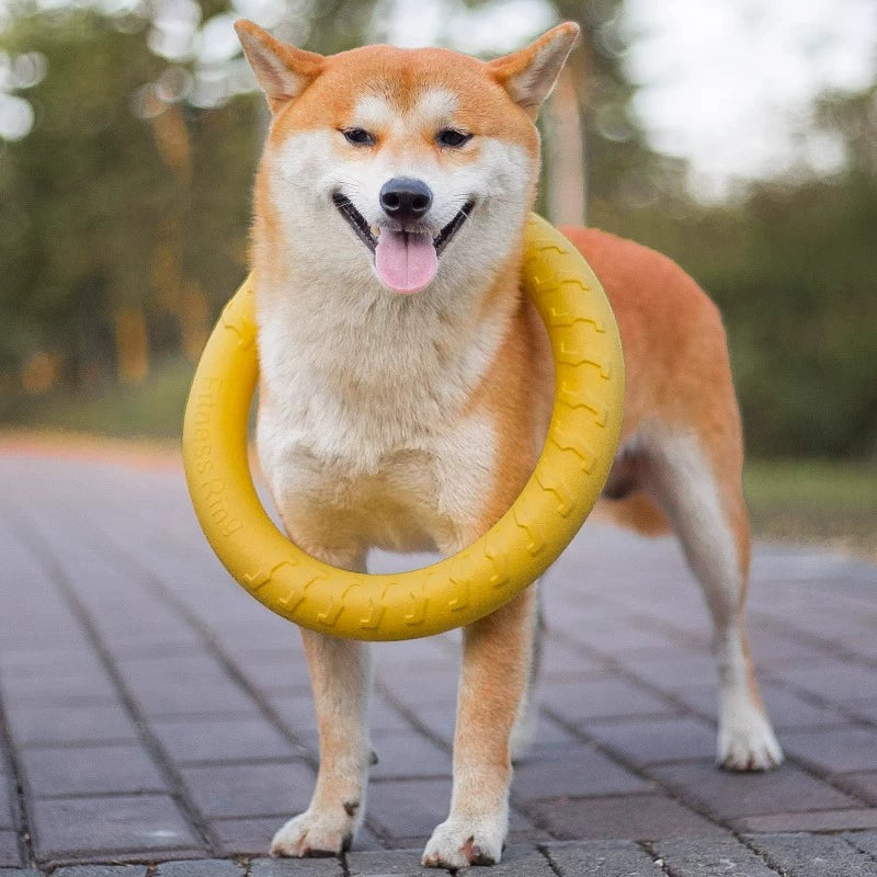 Ring Rally Ball Shiba Inu Border Collie Corgi Training Dog