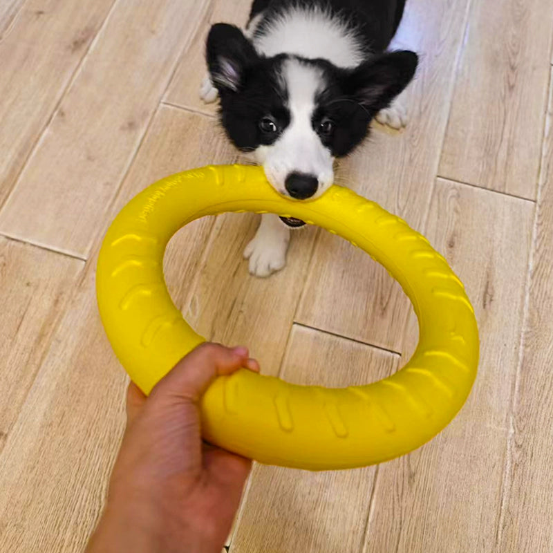Ring Rally Ball Shiba Inu Border Collie Corgi Training Dog