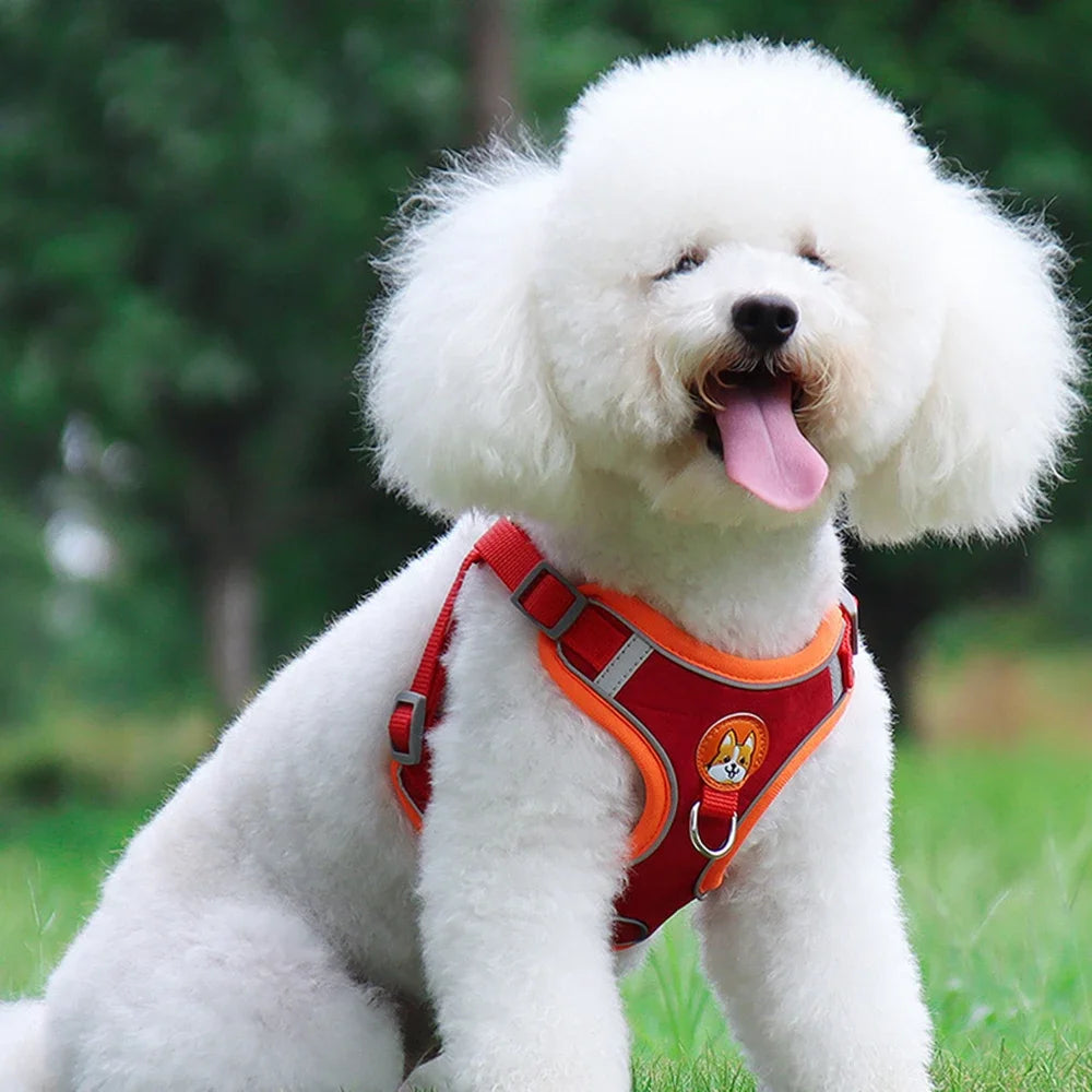Adjustable Dog Harness Leash Set