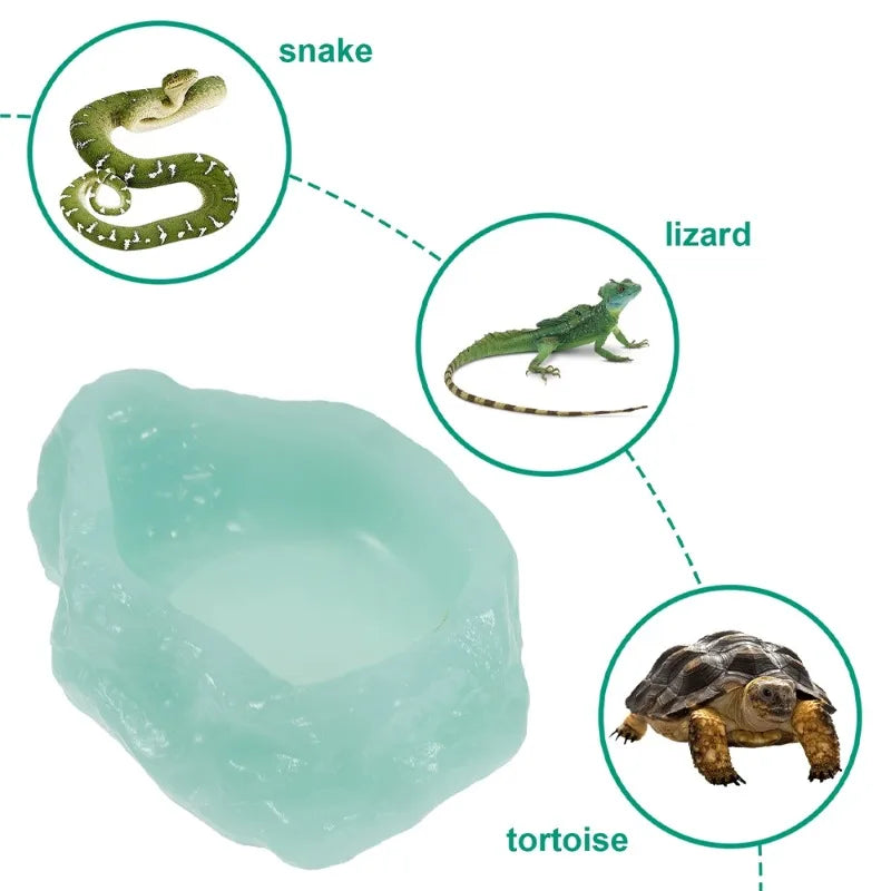 1pc Noctilucous Resin Reptile Bowls Feeding Worm Dish Mealworm Feeder Water Bowl for Reptile Frog Gecko Snake Spiders Turtles