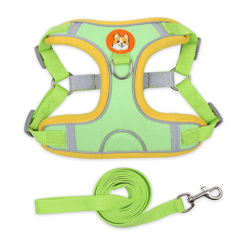 Adjustable Dog Harness Leash Set