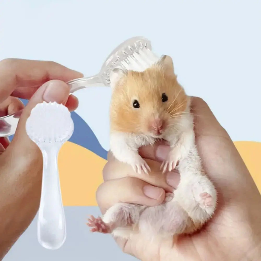 Long Hair Small Hamster Brush Plastic Round Head Guinea Pig Massage Combs Soft Bath Mini Brush Golden Bear Cleaning Comb