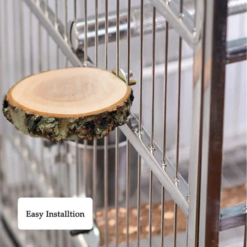 Apple Wooden Parrot Bird Perch Stand Platform Round Pet Squirrel Bird Hanging Toy Juguetes Para Pajaros Pets Items Accessories