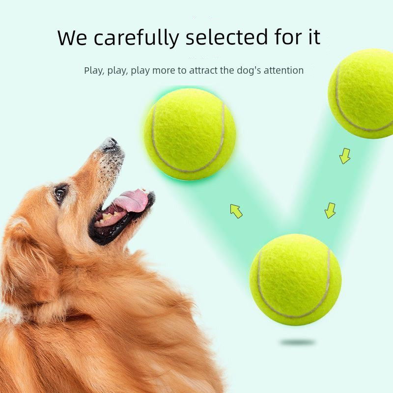 Self-Hi Relieving Stuffy Border Collie Golden Retriever Corgi Rubber Dog