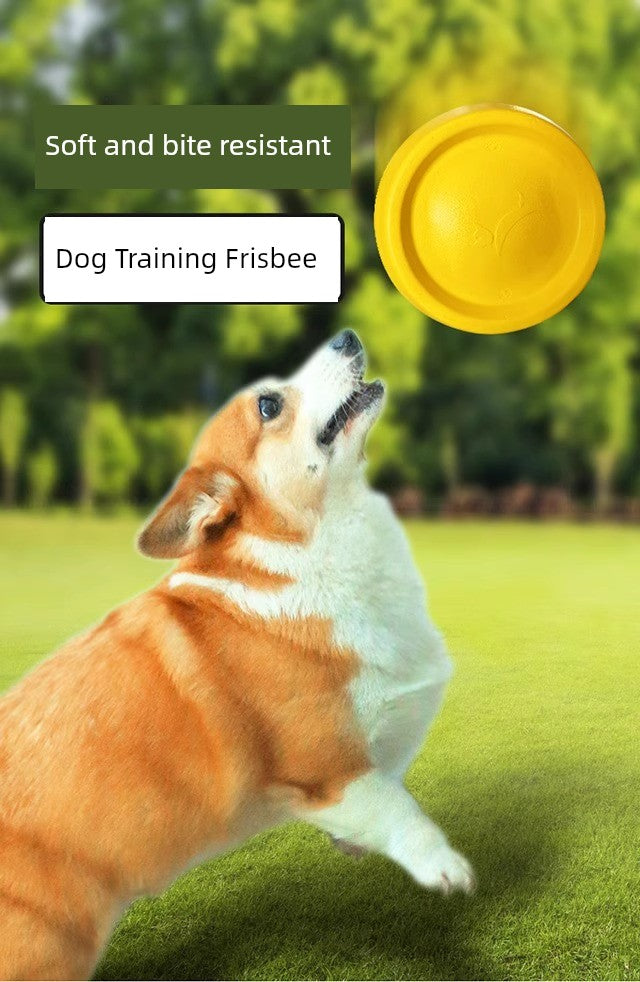 Ring Rally Ball Shiba Inu Border Collie Corgi Training Dog