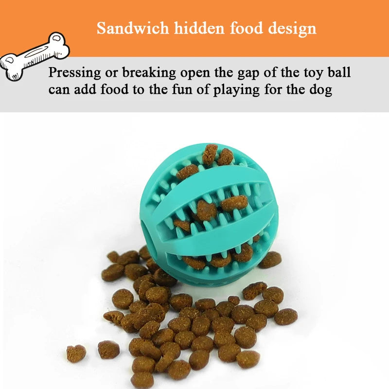 Interactive Rubber Dog Toy Ball