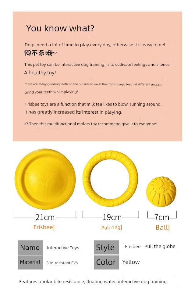 Ring Rally Ball Shiba Inu Border Collie Corgi Training Dog