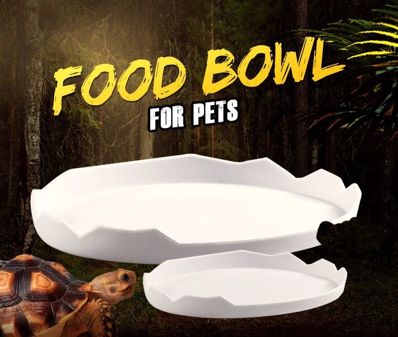 Reptile Food Bowl, Water Bowl, Eggshell Shape for Turtles, Lizards, Geckos, Bearded Dragons and Other Amphibians