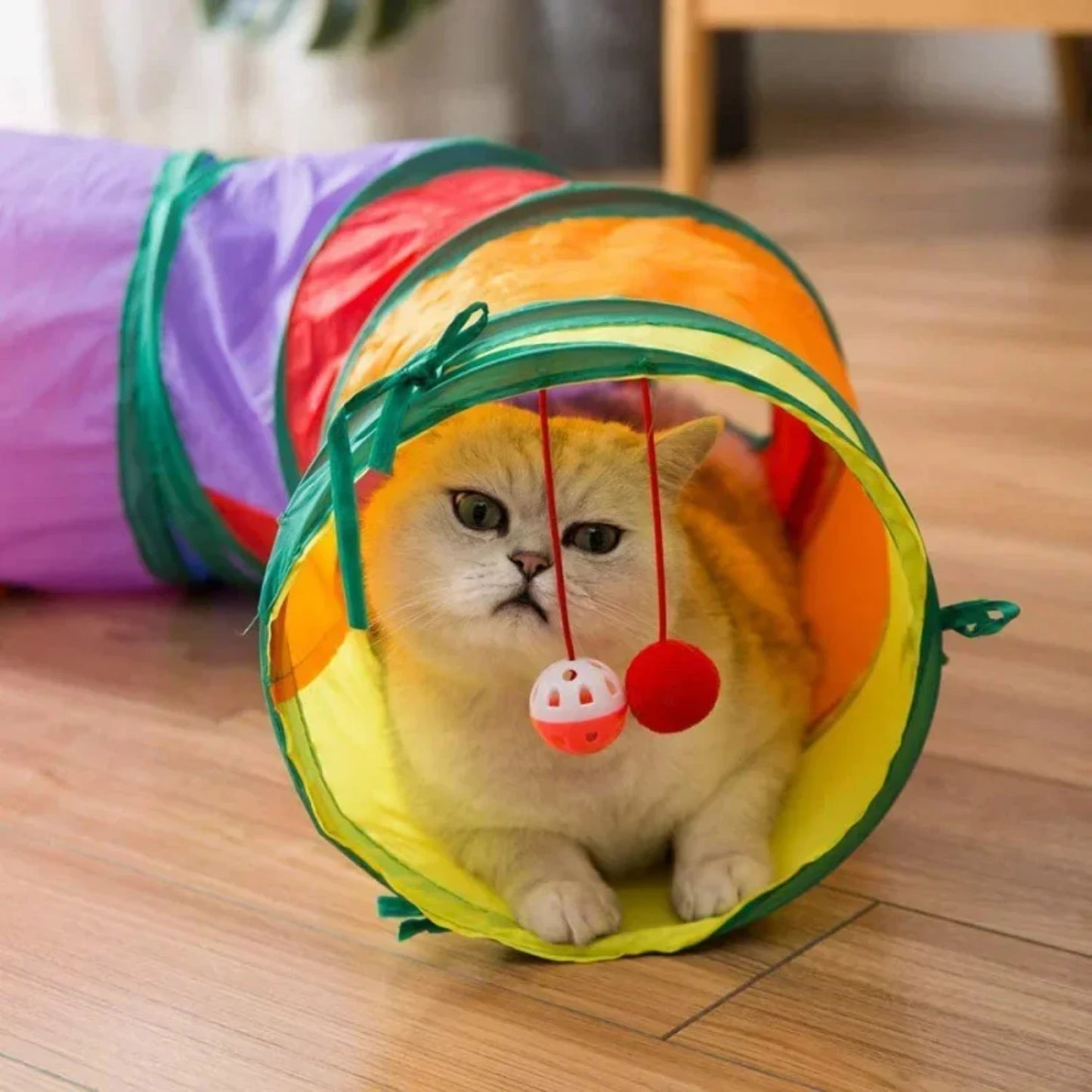 Foldable Cats Tunnel for Interactive Pet Training Fun - Kitty, Puppy, Kitten, and Rabbit Tube Toy to keep your pets entertained