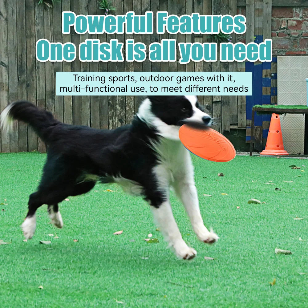 Environmentally Friendly Dog Flying Disk Toy