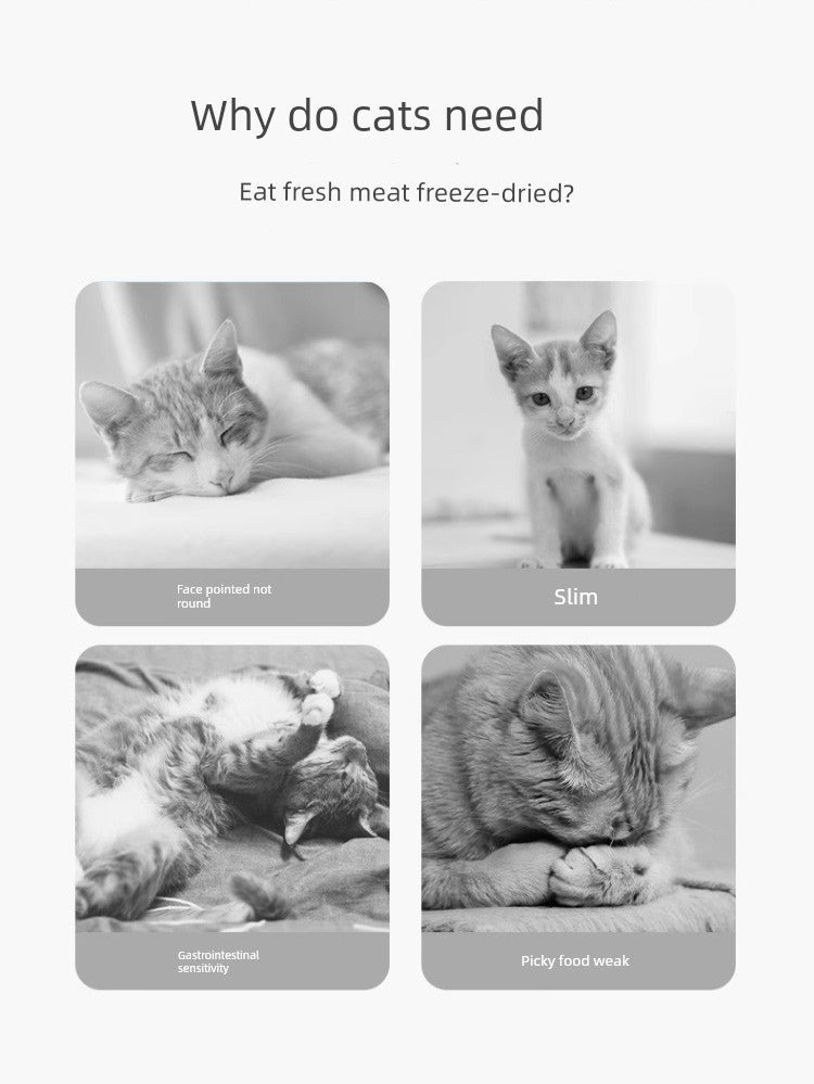 Freeze-Dried Chicken Cat & Dog Snacks