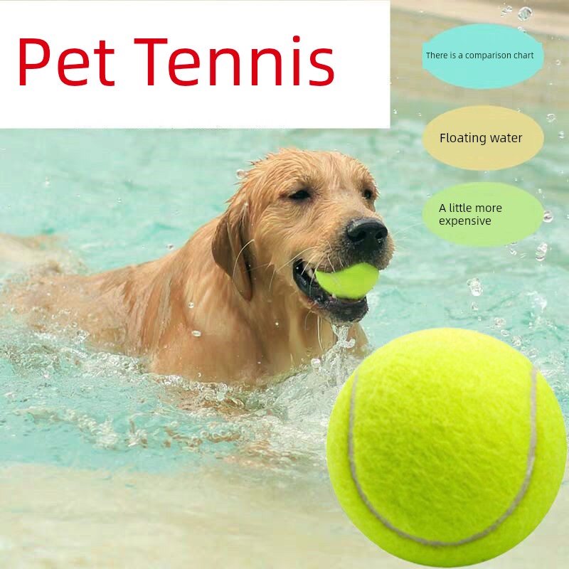 Self-Hi Relieving Stuffy Border Collie Golden Retriever Corgi Rubber Dog