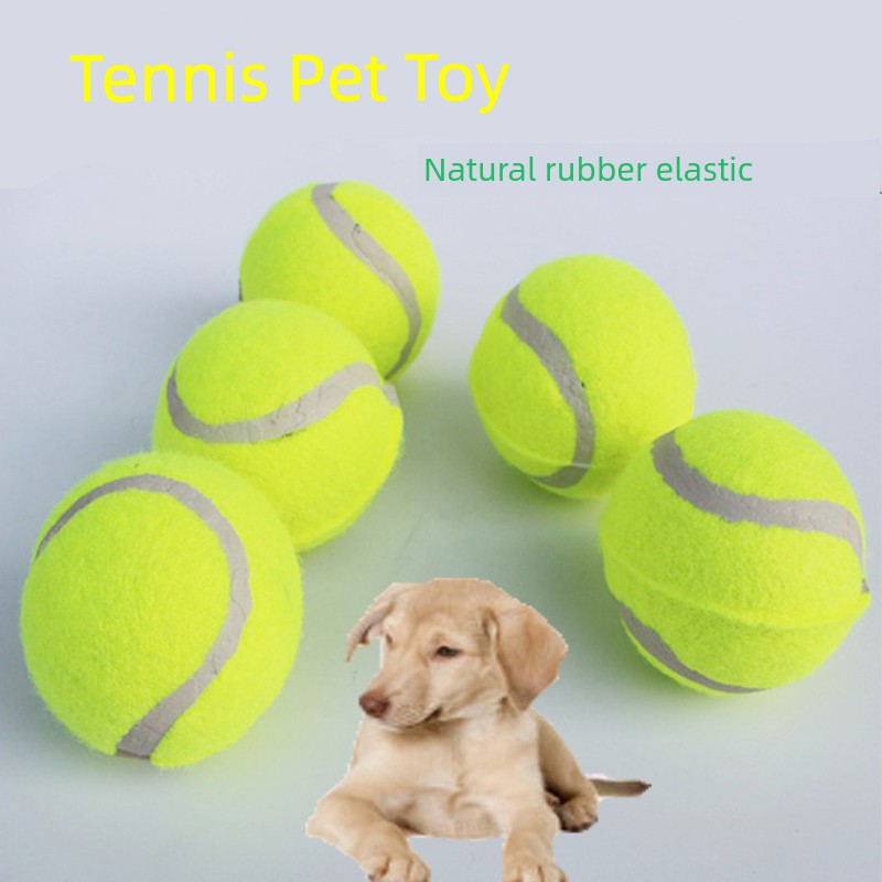 Self-Hi Relieving Stuffy Border Collie Golden Retriever Corgi Rubber Dog