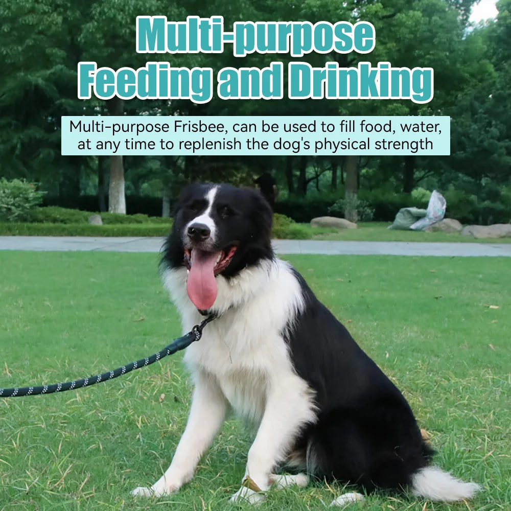 Environmentally Friendly Dog Flying Disk Toy