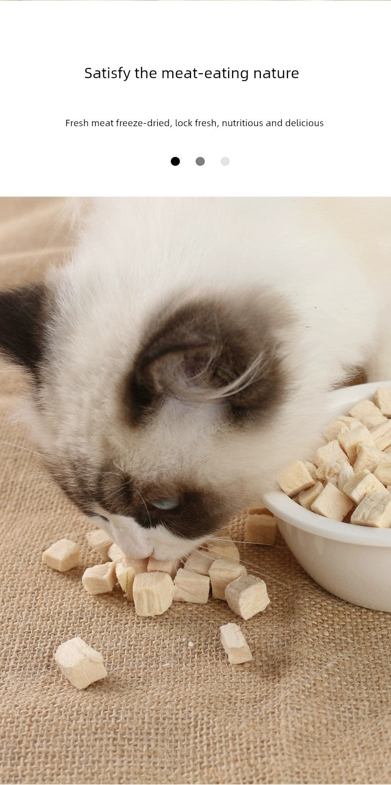 Freeze-Dried Chicken Cat & Dog Snacks
