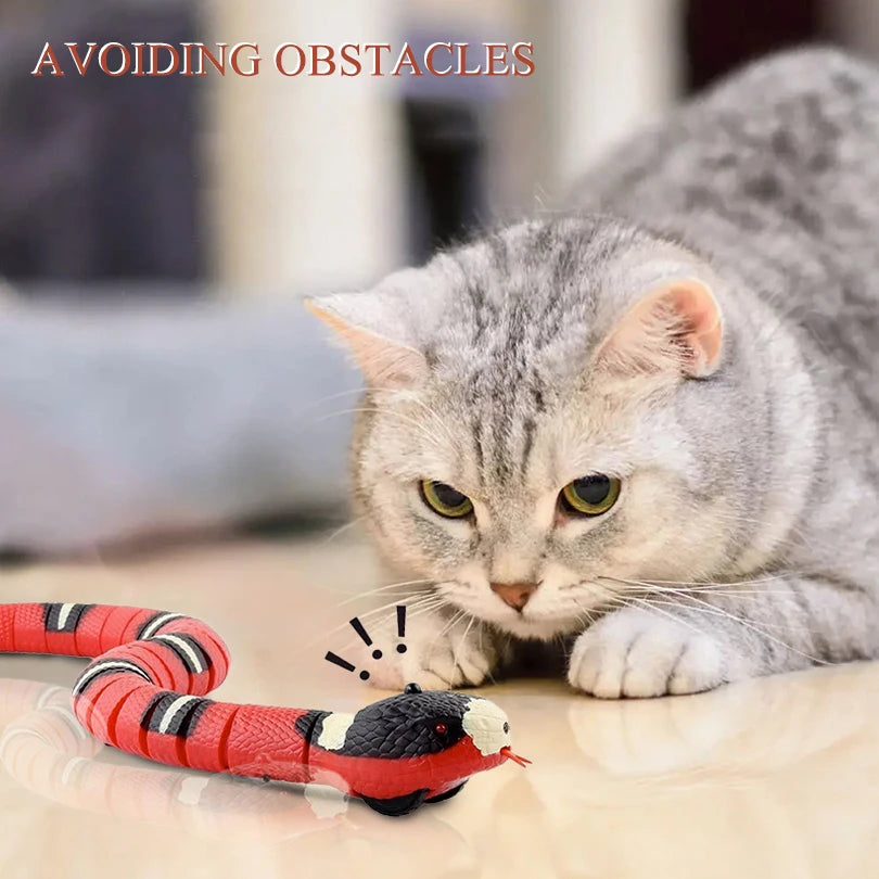 Smart Interactive Cat Toy Ball