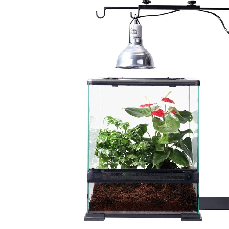 60 45 60cm Large Size Reptile Enclosures Chameleon Cage Bearded Dragon Terrarium Reptile Feeding Tank On Sale
