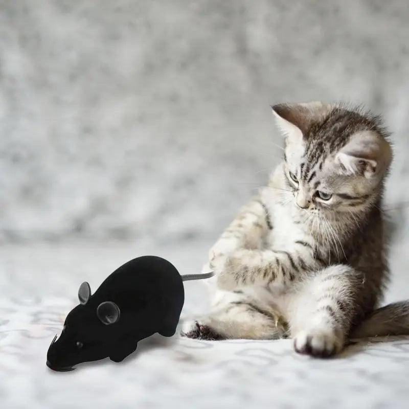 Electronic Mouse Cat Toy Mouse Interactive Cat Toys Wireless Electronic Mouse A Better Gift For Your Cats Dogs Pets Children And