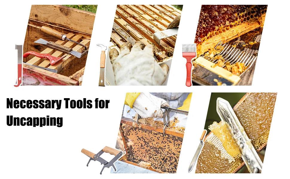 Starter Kit 10-Frame Bee Boxes and Frames Starter Kit Wax Coated Bee Hives and Supplies Starter Kit Including Beekeeping Tools K