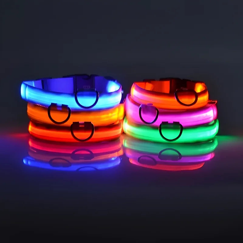 LED Nylon Collar