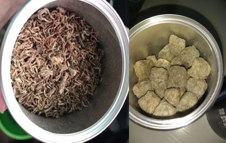 YEE Freeze Dried Artemia Salina Red Blood Worm Fish Food Feed for All Kinds of Tropical Aquarium Small Food