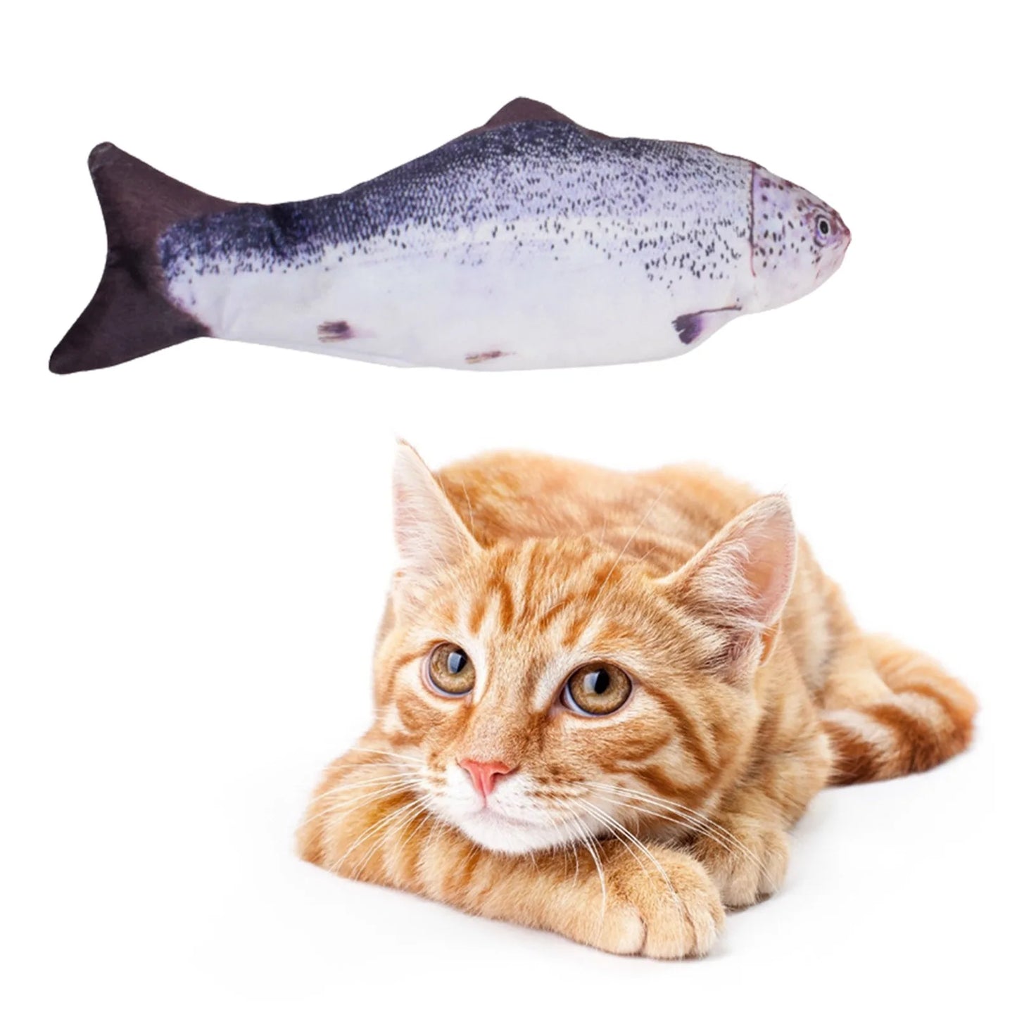 Interactive Electric Fish Cat Toy