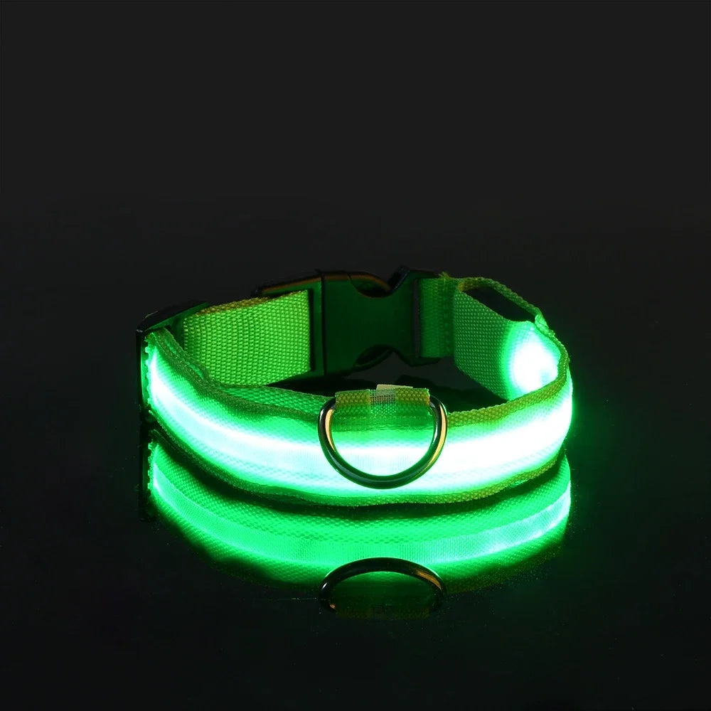 LED Nylon Collar