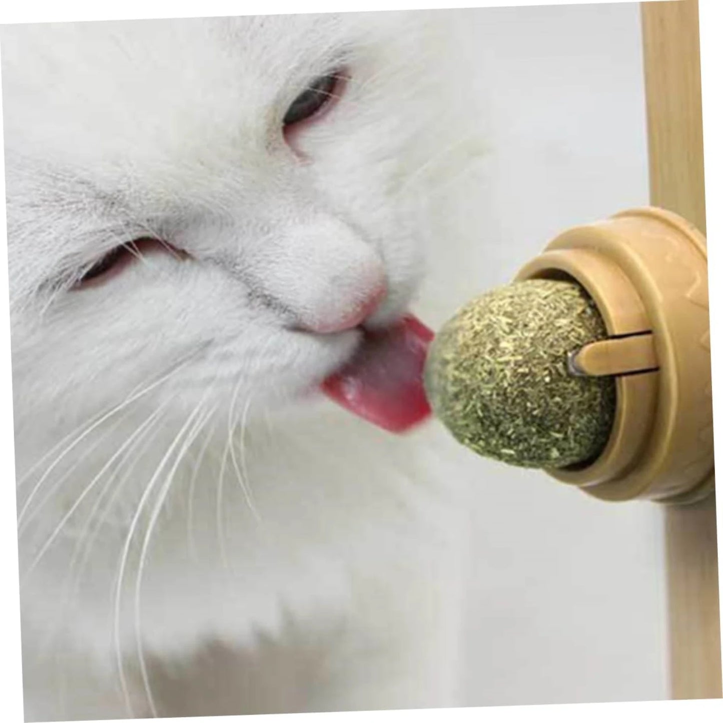 Exciting and Energizing Cat Toy Set for Perfect Dental Health - Ideal Package for Thrilling Playtime, Keeping Your Furry Friend