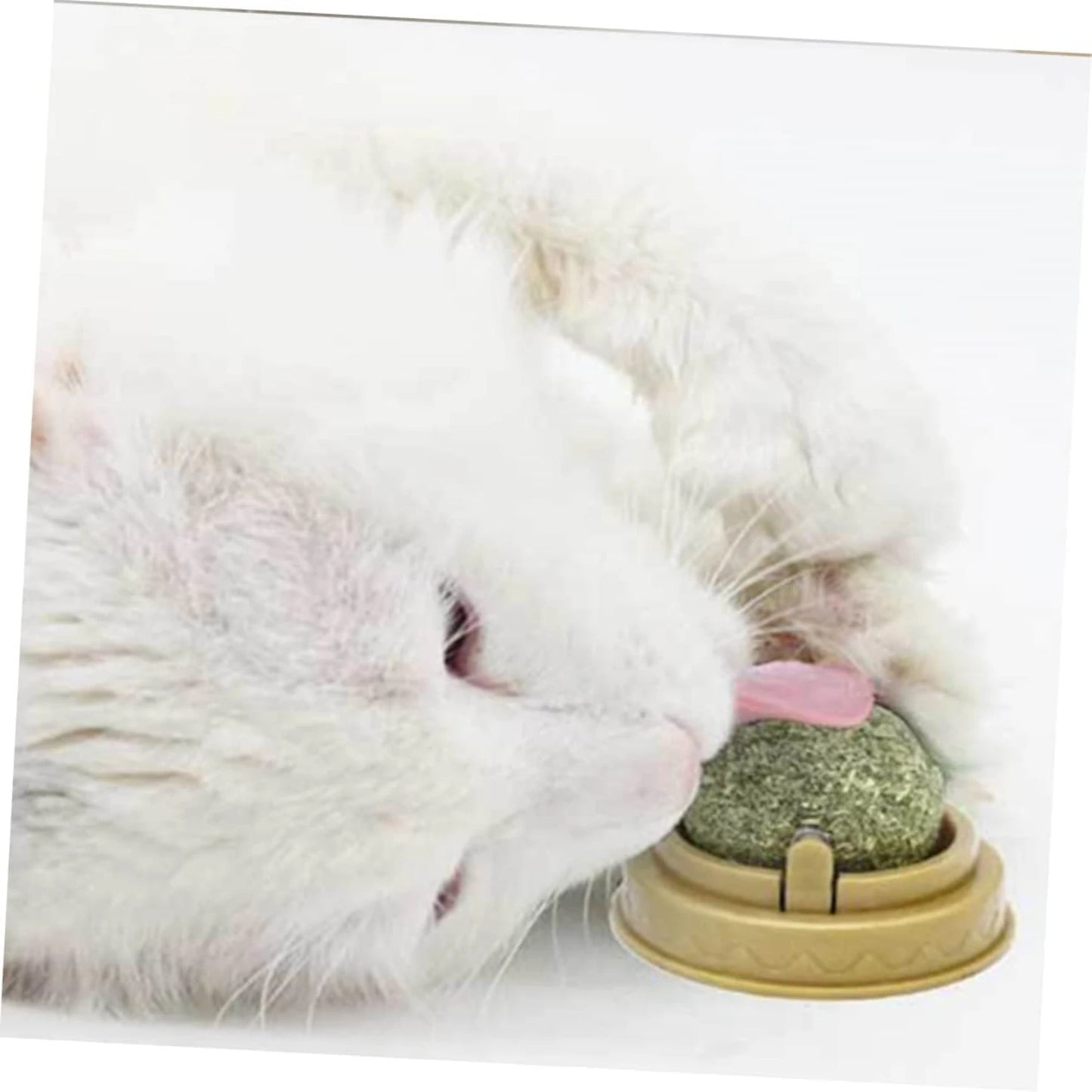 Exciting and Energizing Cat Toy Set for Perfect Dental Health - Ideal Package for Thrilling Playtime, Keeping Your Furry Friend