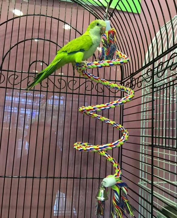 Bird Cage Toys for Parrots Wood Birds Swing Reliable Chewable Bite Bridge Wooden Beads Shape Parrot Toy Bird Accessories