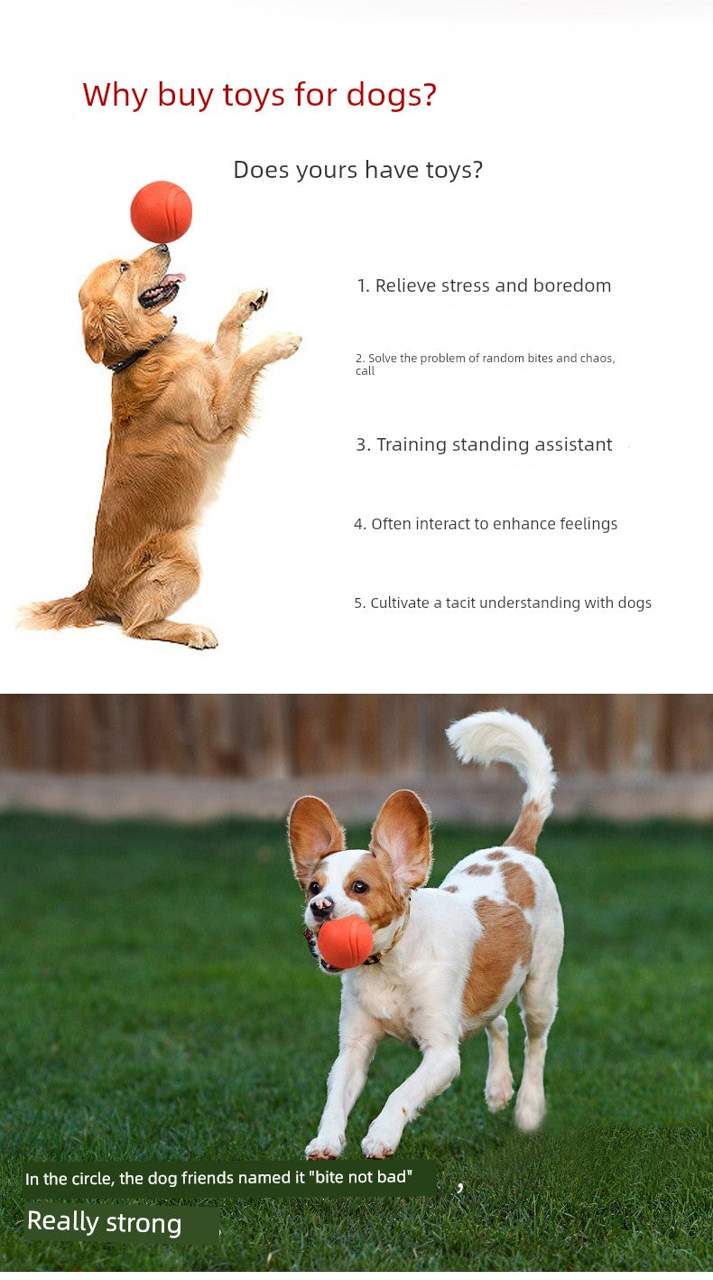 Toy Ball Golden Retriever Teddy Self-Hi Relieving Stuffy Solid Dog