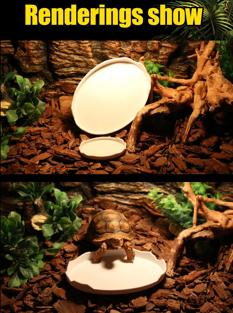 Reptile Food Bowl, Water Bowl, Eggshell Shape for Turtles, Lizards, Geckos, Bearded Dragons and Other Amphibians