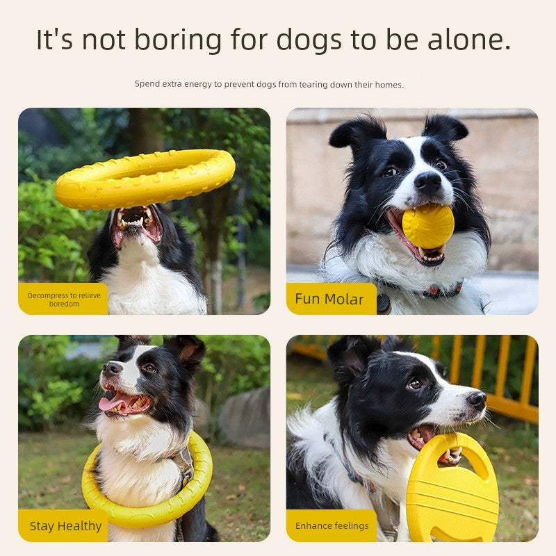 Large Dog Border Collie Jelly Power Ring Relieving Stuffy Handy Gadget Dog