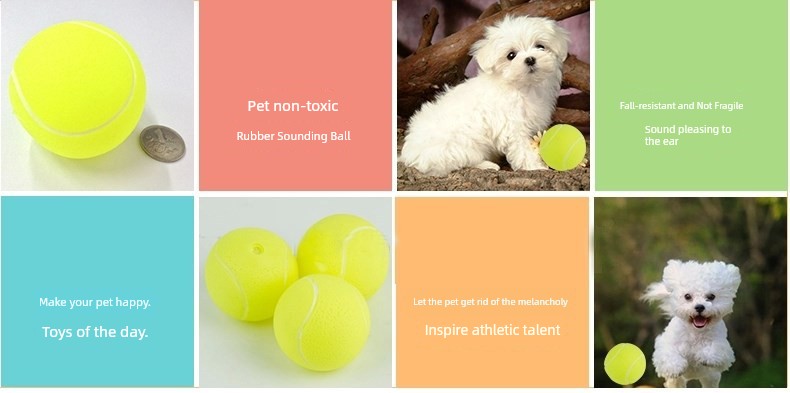 Self-Hi Relieving Stuffy Border Collie Golden Retriever Corgi Rubber Dog
