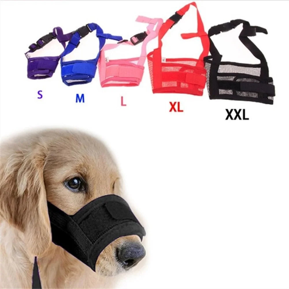 Breathable Mesh Nylon Strap