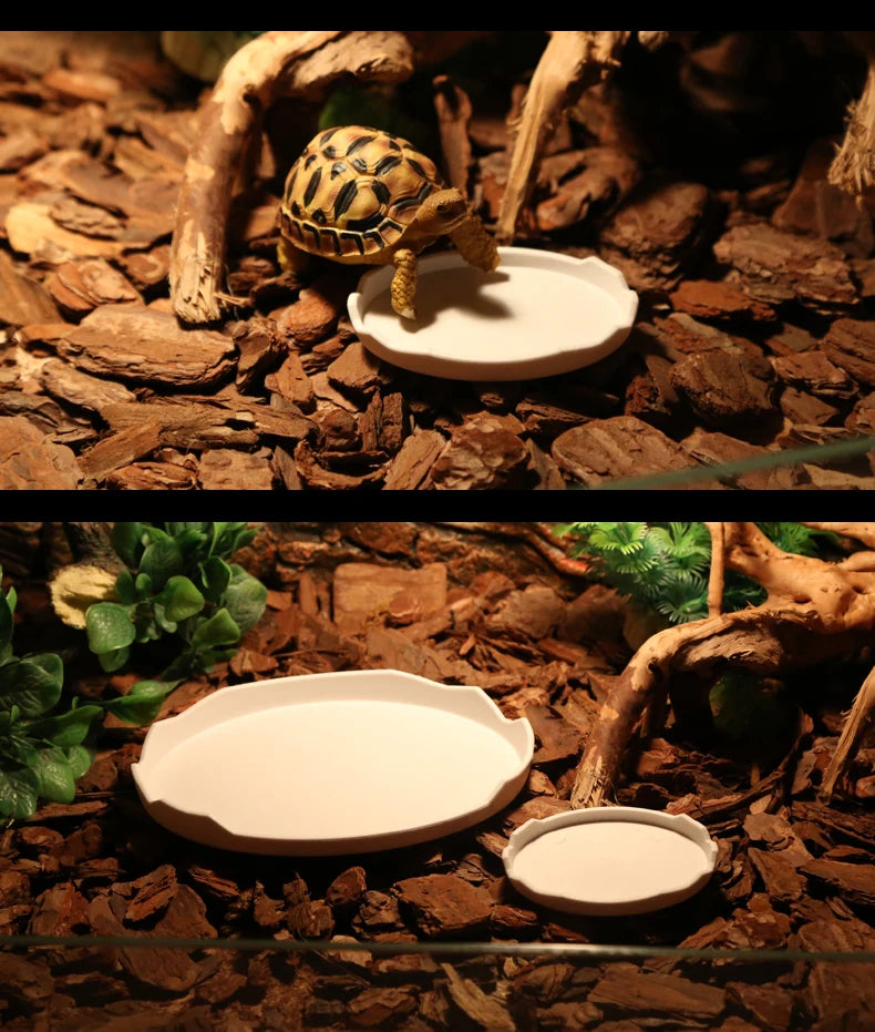 Reptile Food Bowl, Water Bowl, Eggshell Shape for Turtles, Lizards, Geckos, Bearded Dragons and Other Amphibians