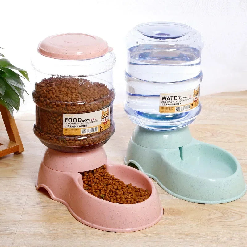 Automatic Dog Feeder