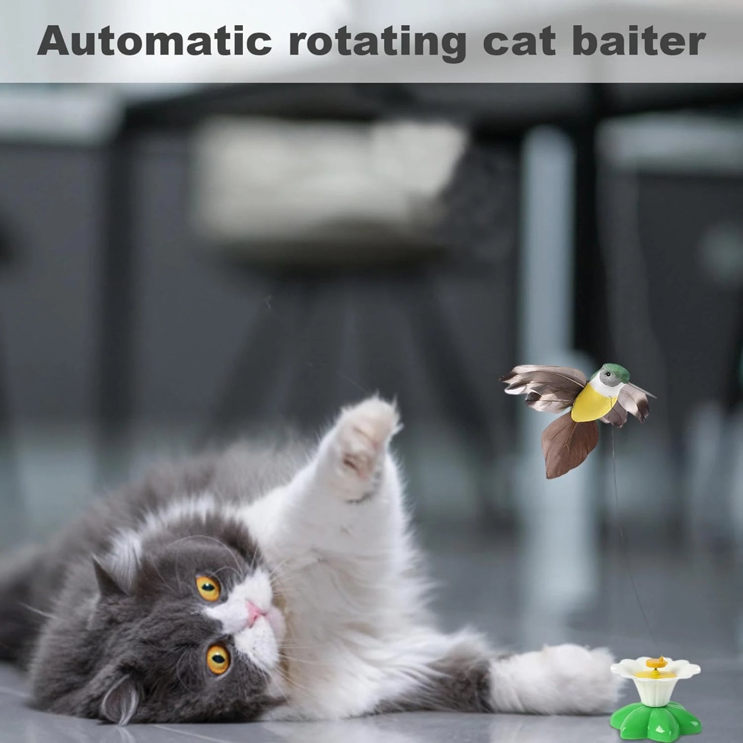 Interactive Cat Toys for Endless Fun and Entertainment. Fantastic Selection of Stimulating Toys for Your Feline Friend, Guarante