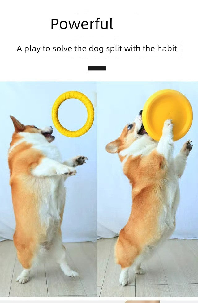 Ring Rally Ball Shiba Inu Border Collie Corgi Training Dog