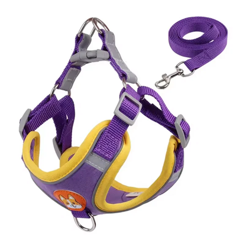 Adjustable Dog Harness Leash Set