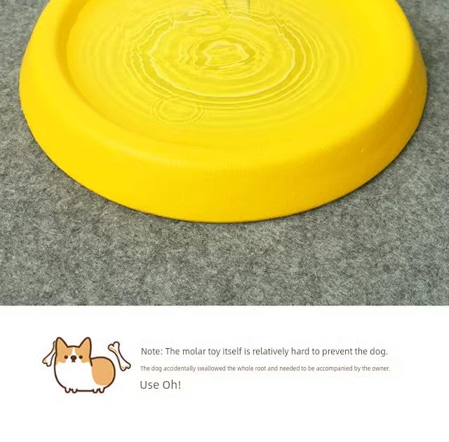 Ring Rally Ball Shiba Inu Border Collie Corgi Training Dog