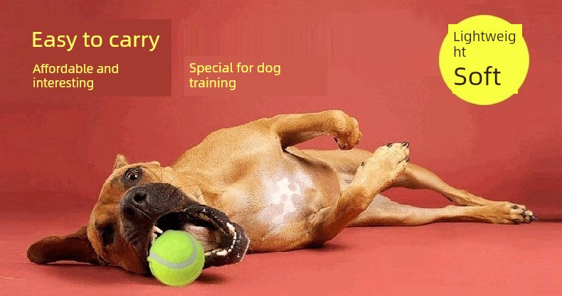 Self-Hi Relieving Stuffy Border Collie Golden Retriever Corgi Rubber Dog
