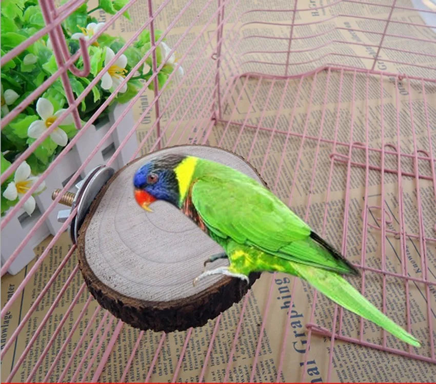 Apple Wooden Parrot Bird Perch Stand Platform Round Pet Squirrel Bird Hanging Toy Juguetes Para Pajaros Pets Items Accessories