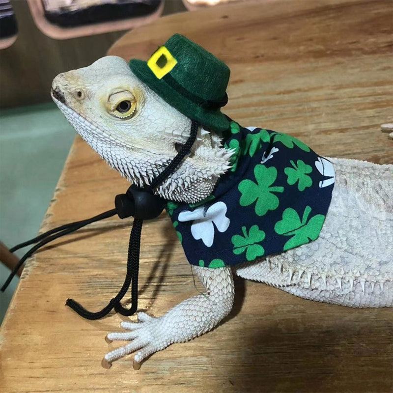 Adjustable Bearded Dragon Costume Lizard Hat with Cloak for Reptiles Small Animals Saint Patricks Day Dress Up Accessory