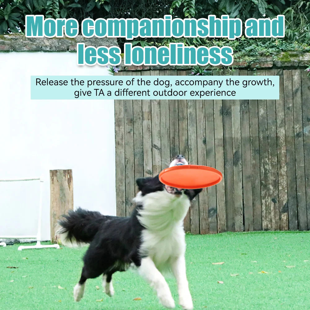 Environmentally Friendly Dog Flying Disk Toy