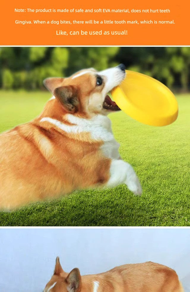 Ring Rally Ball Shiba Inu Border Collie Corgi Training Dog
