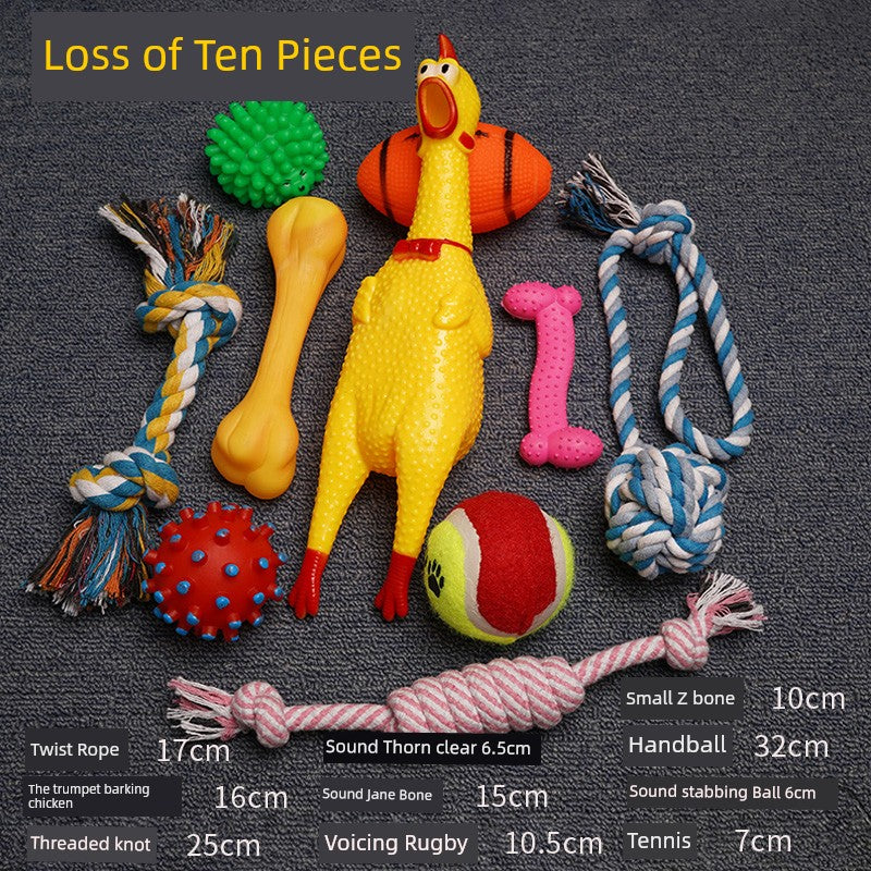Toy Ball Teddy Corgi Golden Retriever Puppy Pet Dog