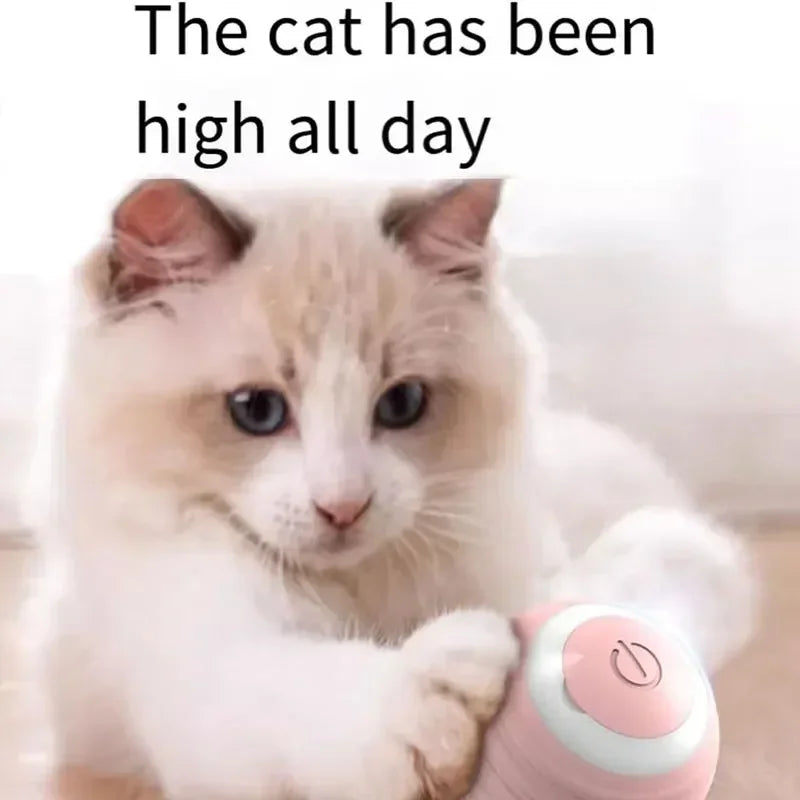 Interactive Cat Toys Ball Automatic Rotating Rolling Ball Rechargeable Smart Pet Toy Stimulate Hunting Instinct for Your Kitty