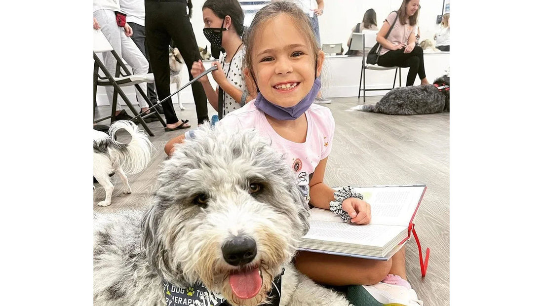 The Importance of Spending Time with Your Pets—Including Farm Animals